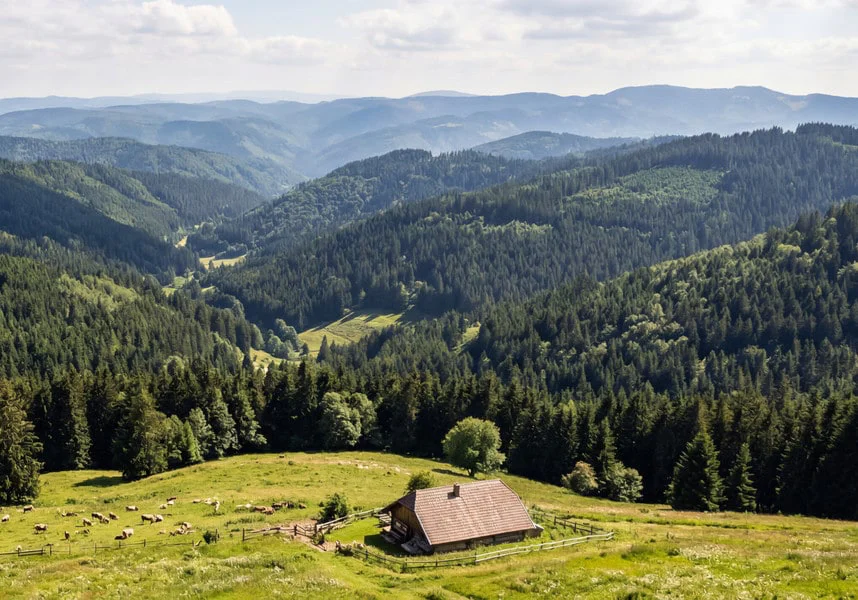 Banner Ferienhäuser und Ferienwohnungen im Schwarzwald mieten Banner Ferienhäuser und Ferienwohnungen im Schwarzwald mieten
